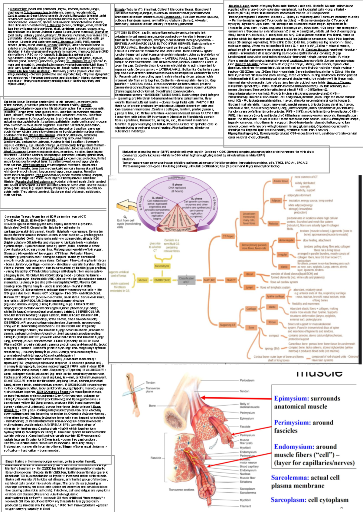Bio - Summary Biology for Biomedical Science: Cellular Processes and ...