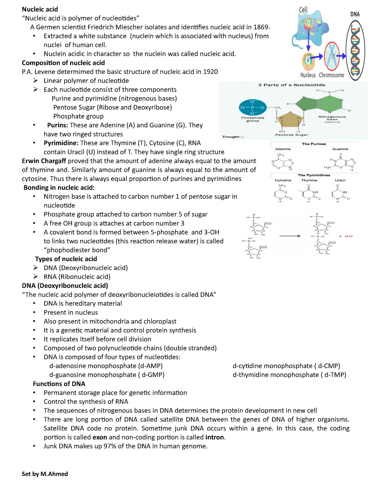 nucleic acid assignment pdf