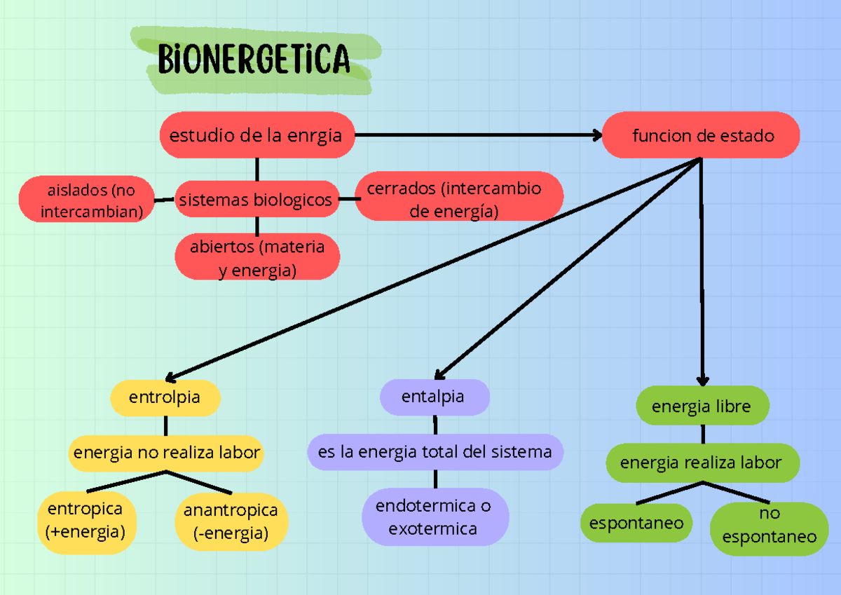 Bioenergetica 2 - Bioquímica - bionergetica estudio de la enrgia ...