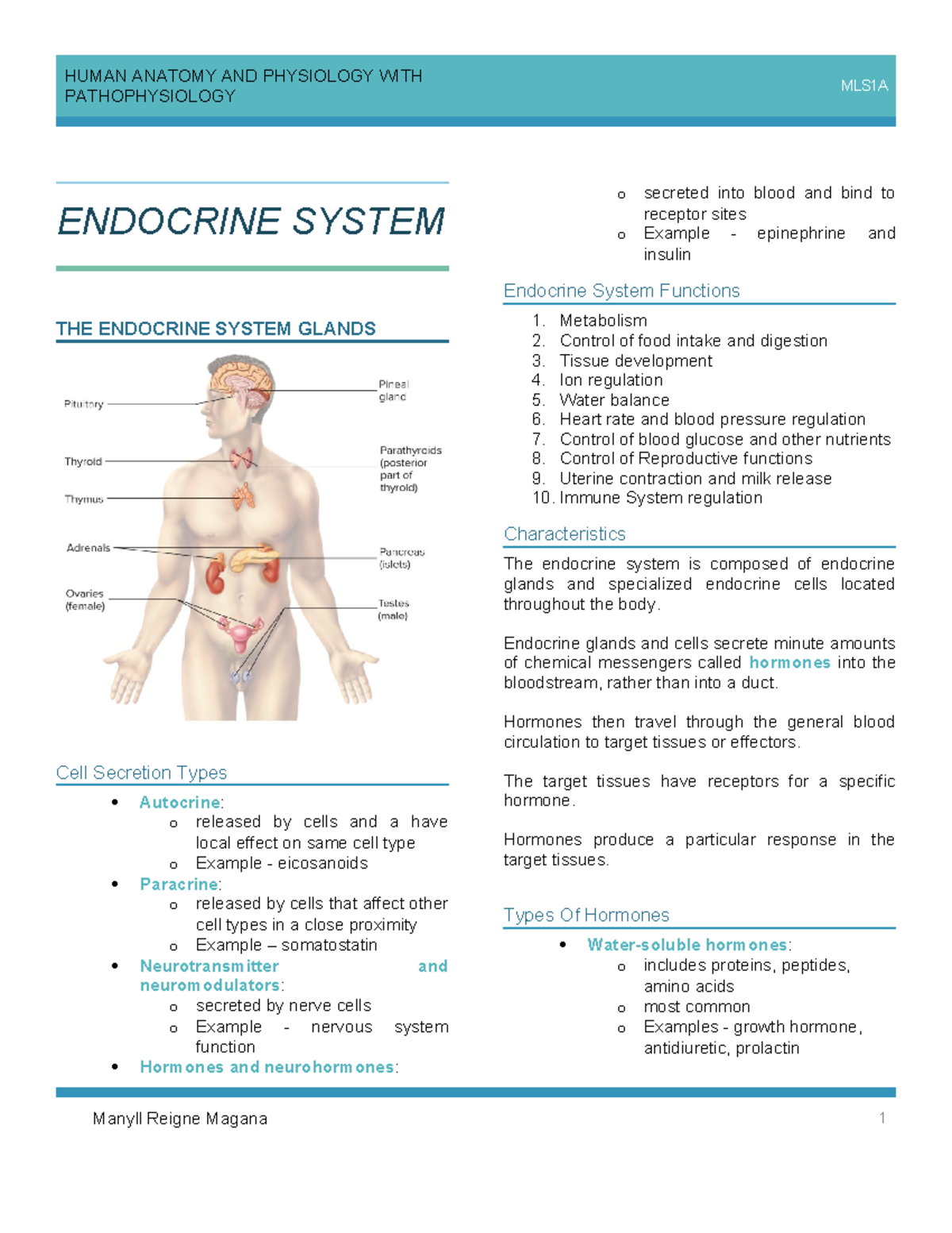 Endocrine- System - Anaphy - PATHOPHYSIOLOGY MLS1A ENDOCRINE SYSTEM THE ...