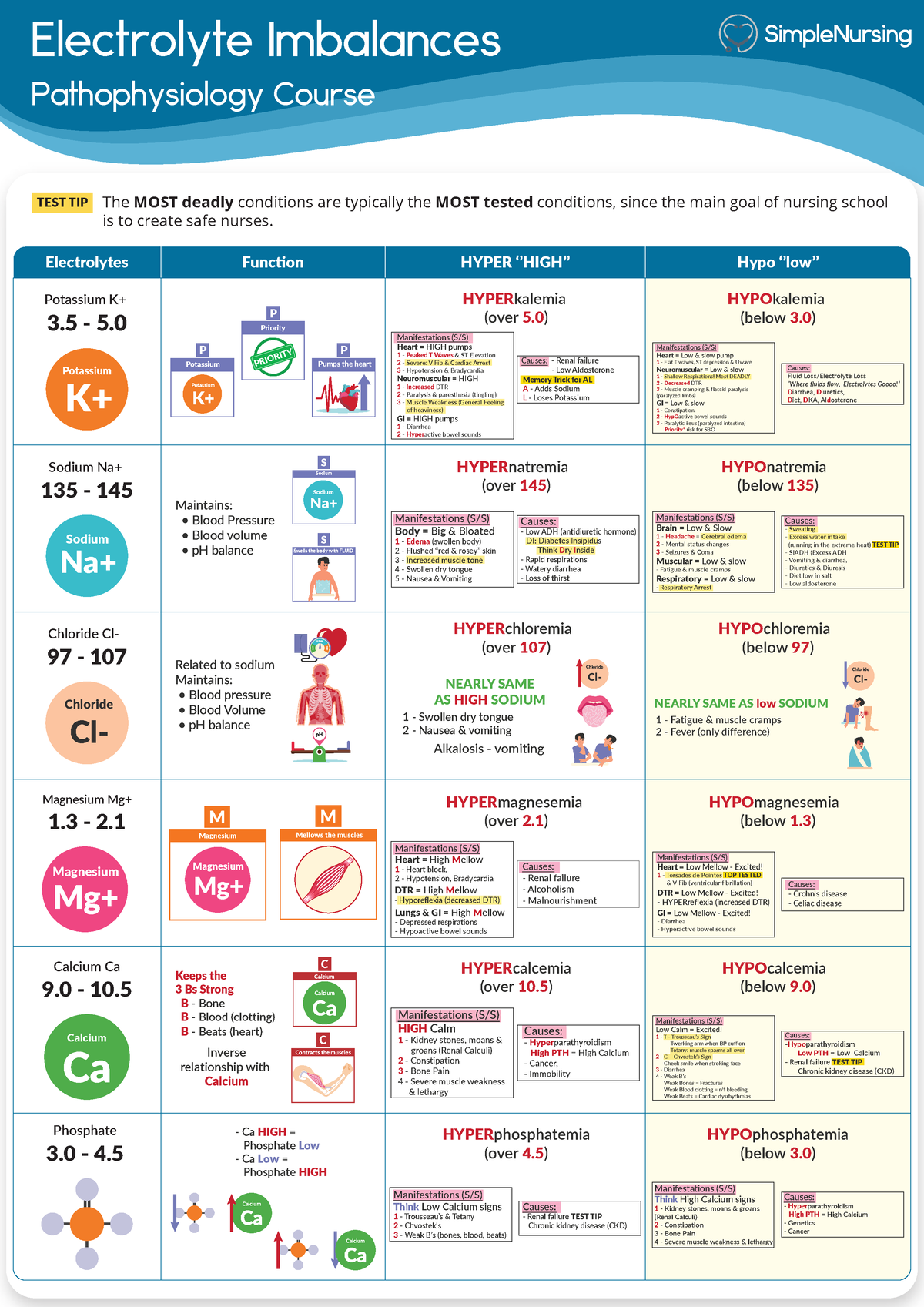 1. Electrolyte Imbalances - Electrolyte Imbalances Pathophysiology 