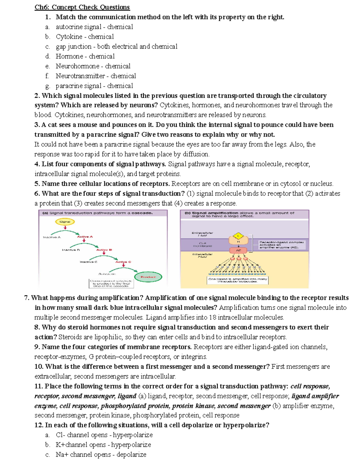 Human Phys Exam Review 2Ch 6 Ch6 Concept Check Questions 1. Match