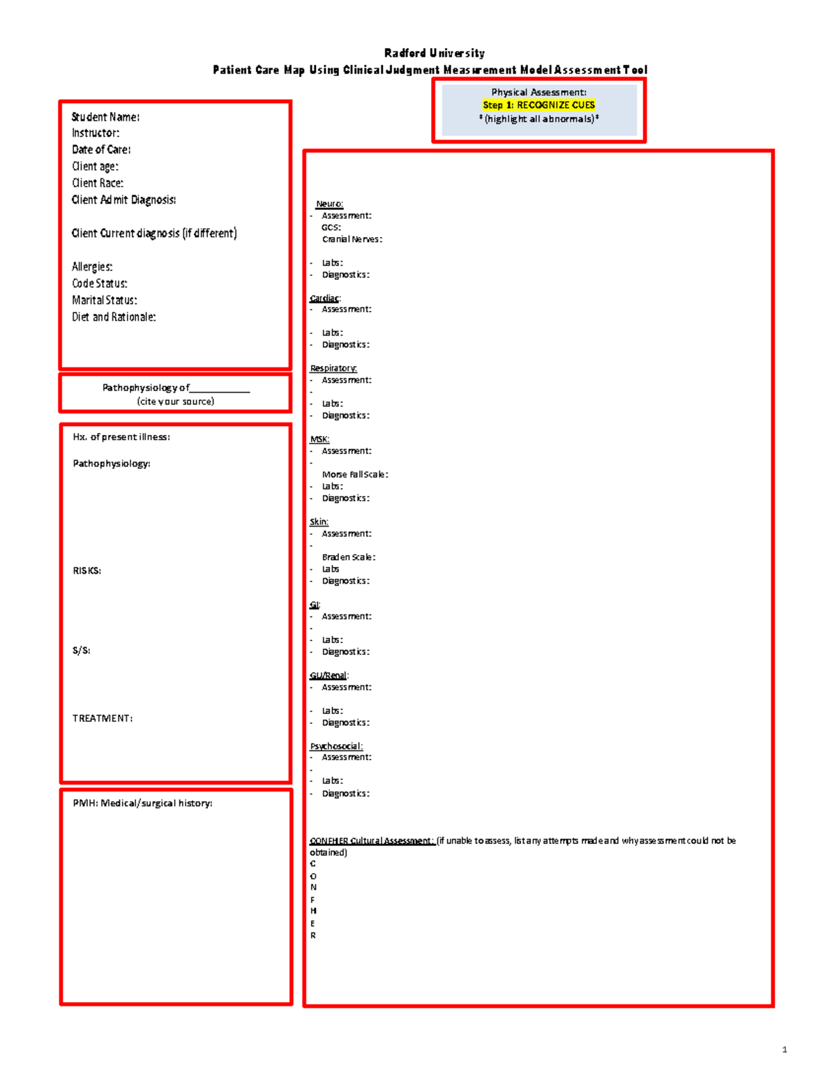 Care Map template Updated - Radford University Patient Care Map Using ...