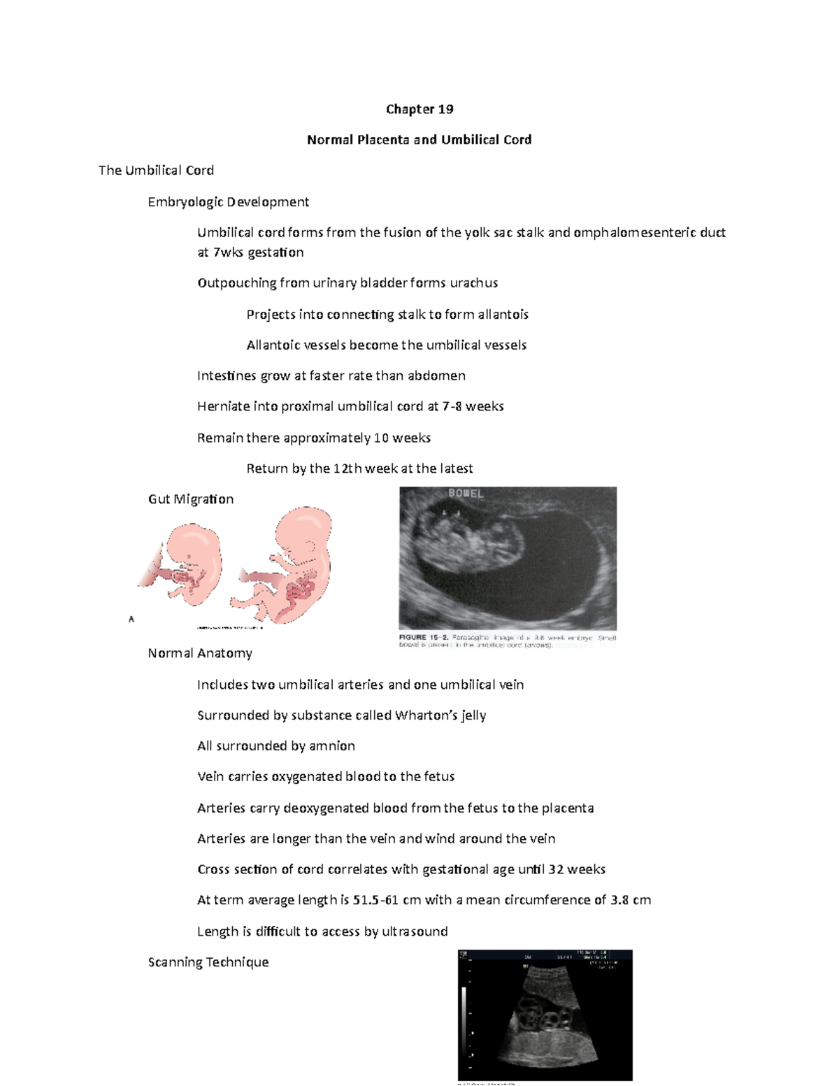 Chapter 19 - obstetrics - Chapter 19 Normal Placenta and Umbilical Cord ...