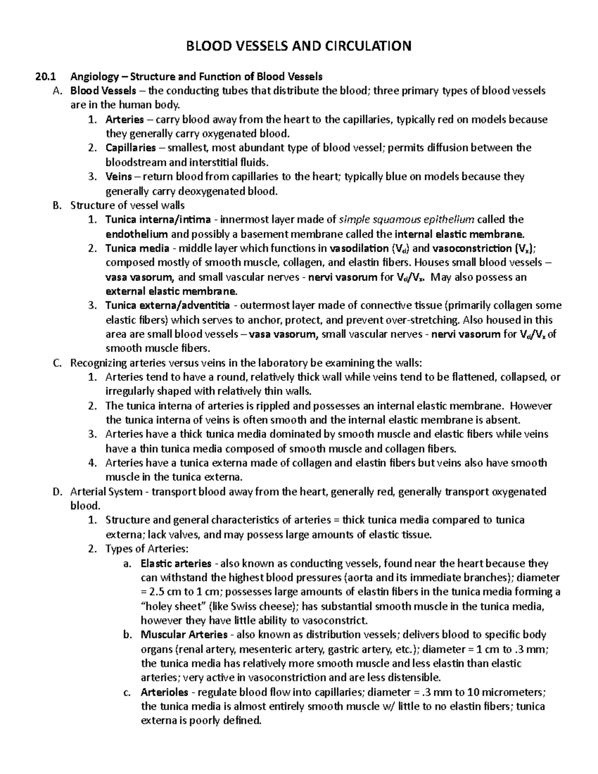 Blood vessel notes - BLOOD VESSELS AND CIRCULATION 20 Angiology ...