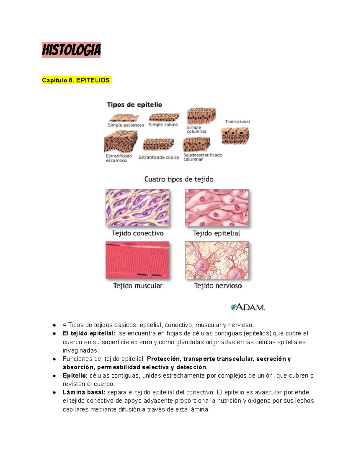 Resumenes P3 Resumen Histologia Capítulo 8 Epitelios 4 Tipos De Tejidos Básicos Epitelial 5366