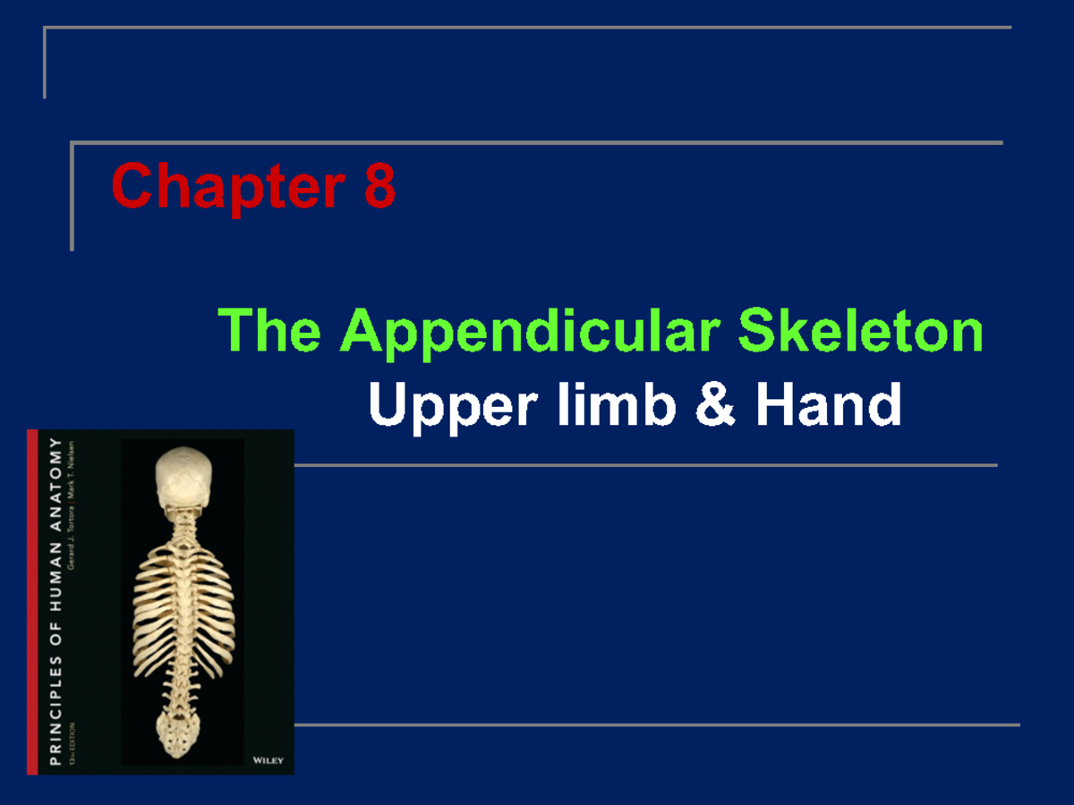 01.30.2017 HLSC 120 Appendicular Skeleton (Upper Limb & Hand - New ...