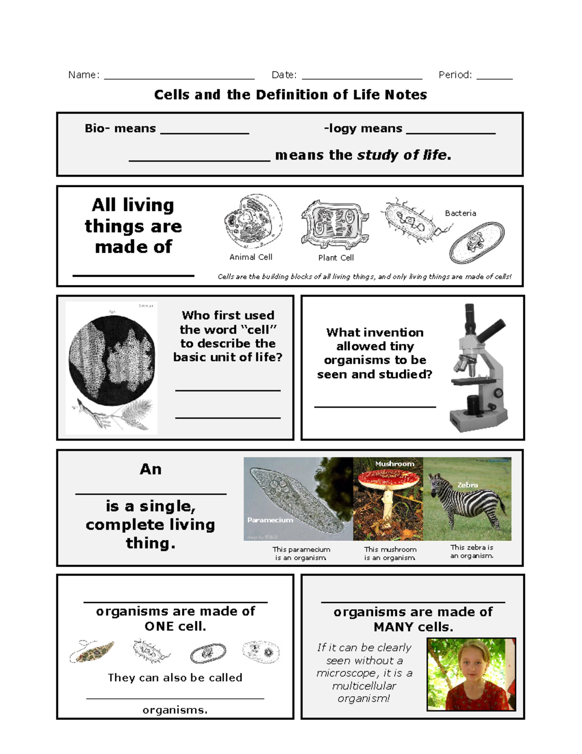 3 cells and the definition of life notes - Name ...