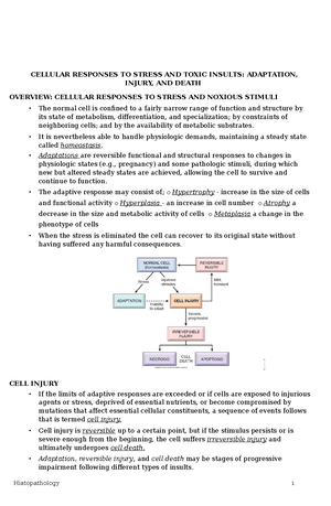 Overview Cellular Responses - CELLULAR RESPONSES TO STRESS AND TOXIC ...