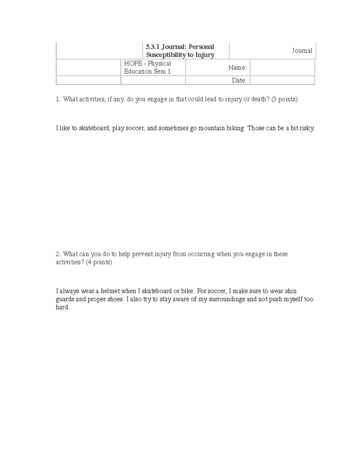 5.3.1 Journal - Personal Susceptibility to Injury (Journal) - 5.3 ...