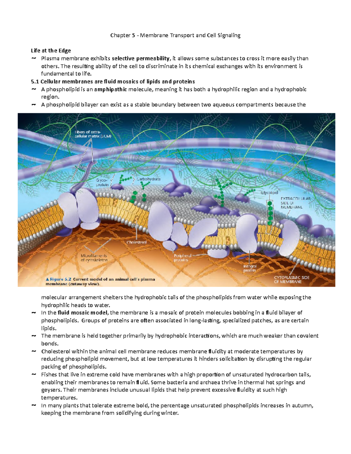 Chapter 5 Membrane Transport and Cell Signaling Chapter 5