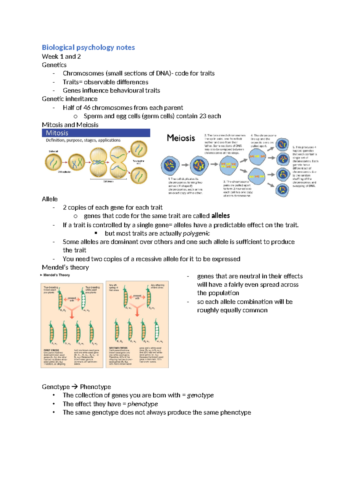 Biological psychology notes weeks 1 to 4 - Biological psychology notes ...