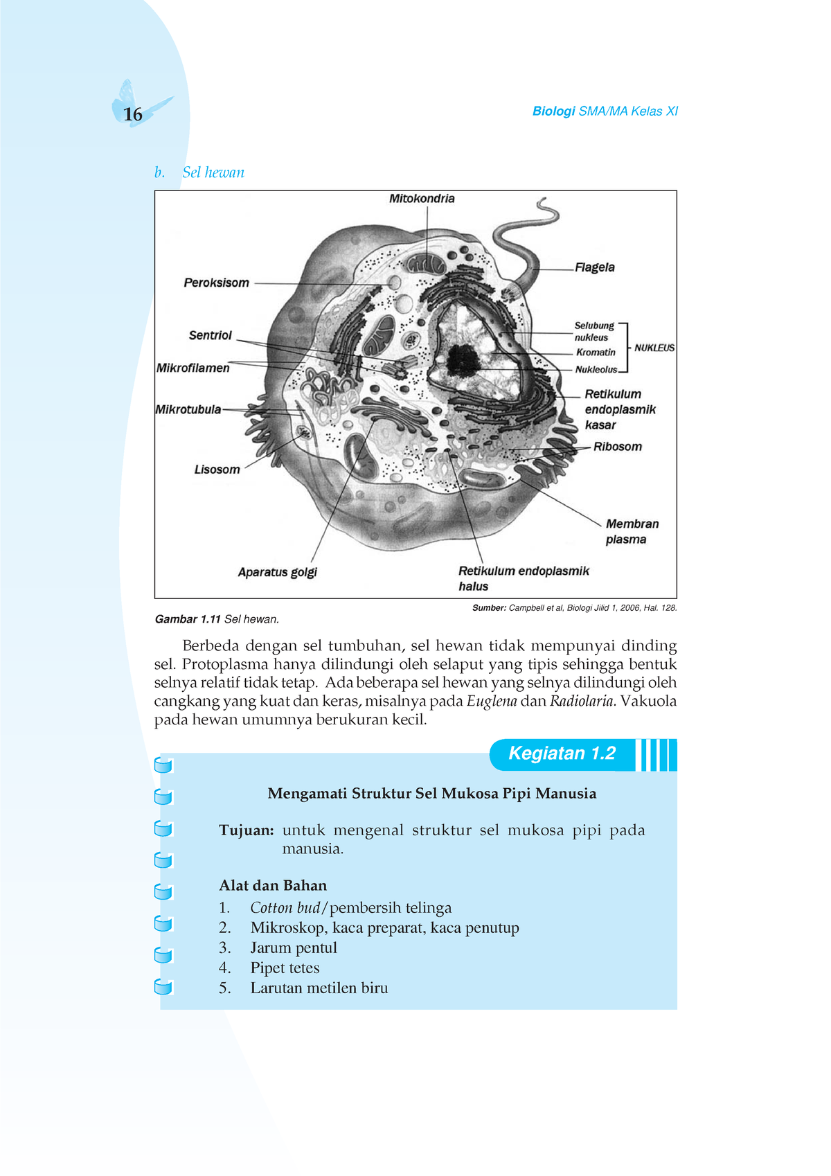 Pengaruh Kontrasepsi - 16 Biologi SMA/MA Kelas XI B. Sel Hewan Sumber ...