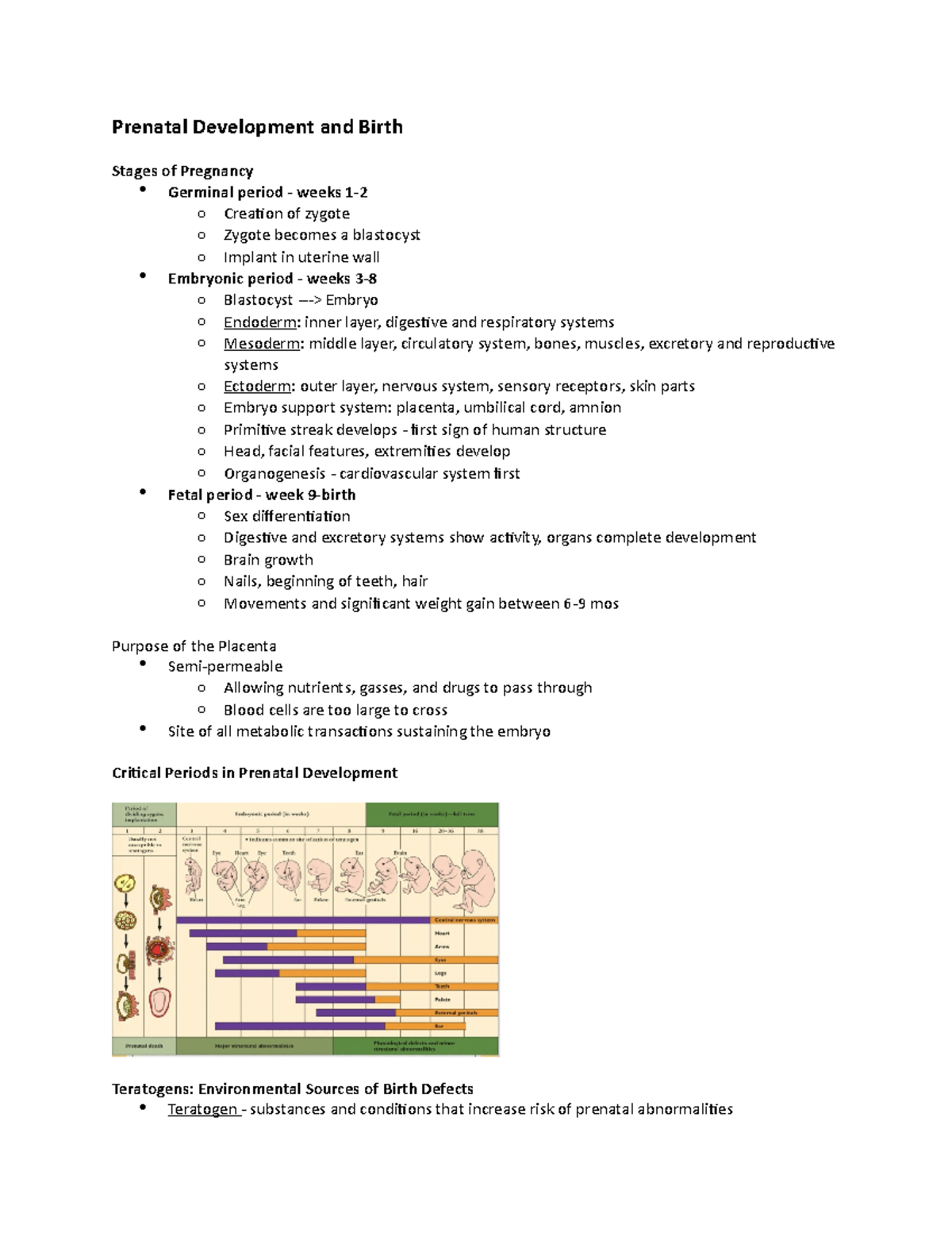 Prenatal Development and Birth - Prenatal Development and Birth Stages ...