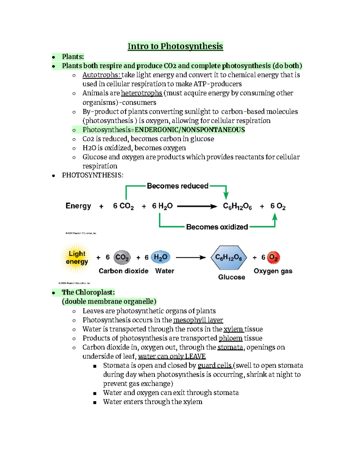 Chapter 10: Intro To Photosynthesis - Intro To Photosynthesis Plants ...