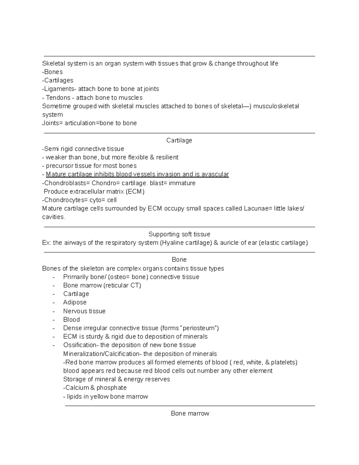 a-p-major-organ-systems-diagram-quizlet