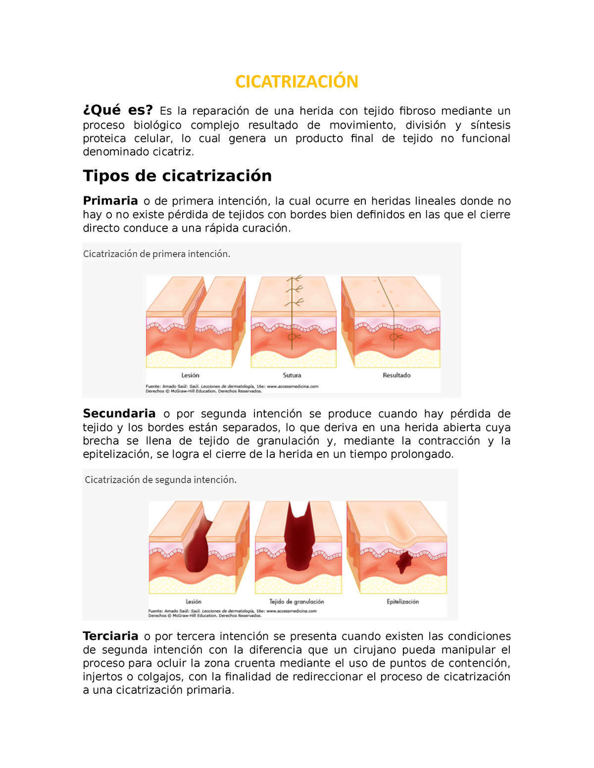 Cicatrización - CICATRIZACIÓN ¿Qué es? Es la reparación de una herida con  tejido fibroso mediante un - Studocu