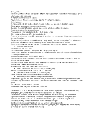 Exam 2 study guide - 2Exam 2 – Learning & Study Objectives Chapter 6 ...