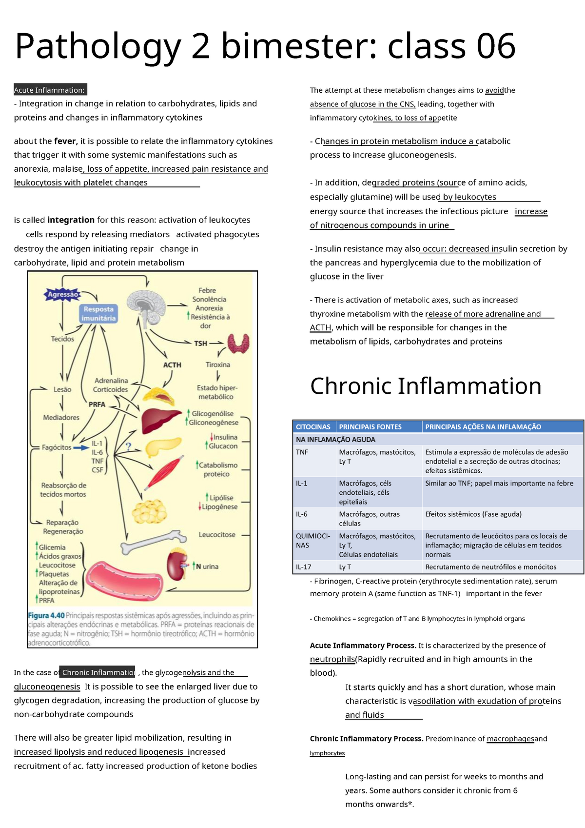 Acute And Chronic Inflammation - Pathology 2 Bimester: Class 06 Acute ...