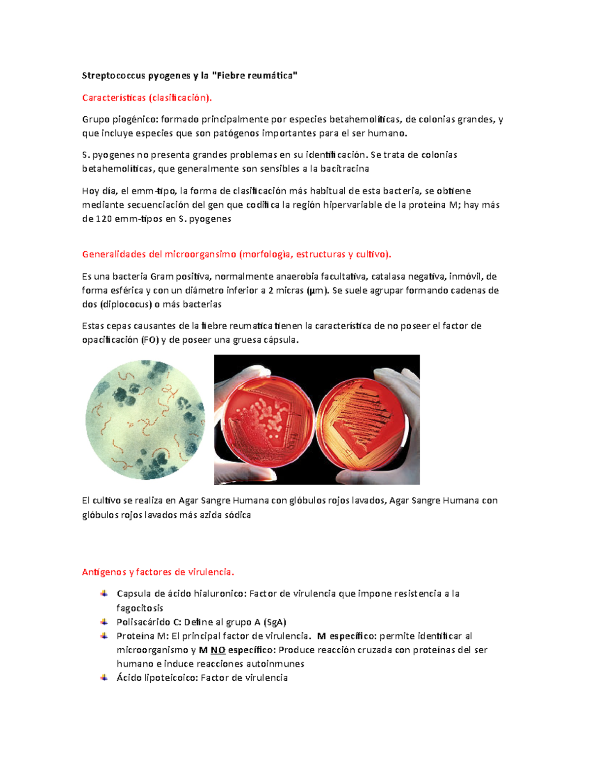 Streptococcus pyogenes y la fiebre reumatica - Streptococcus pyogenes y ...