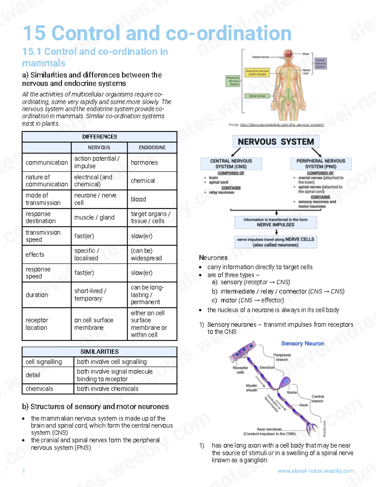 15 control and co-ordination - 15 Control and co-ordination 15 .1 ...