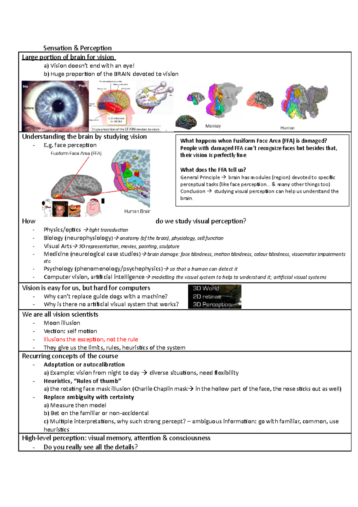 HP3603 - notes that I made for sensation and perception course ...