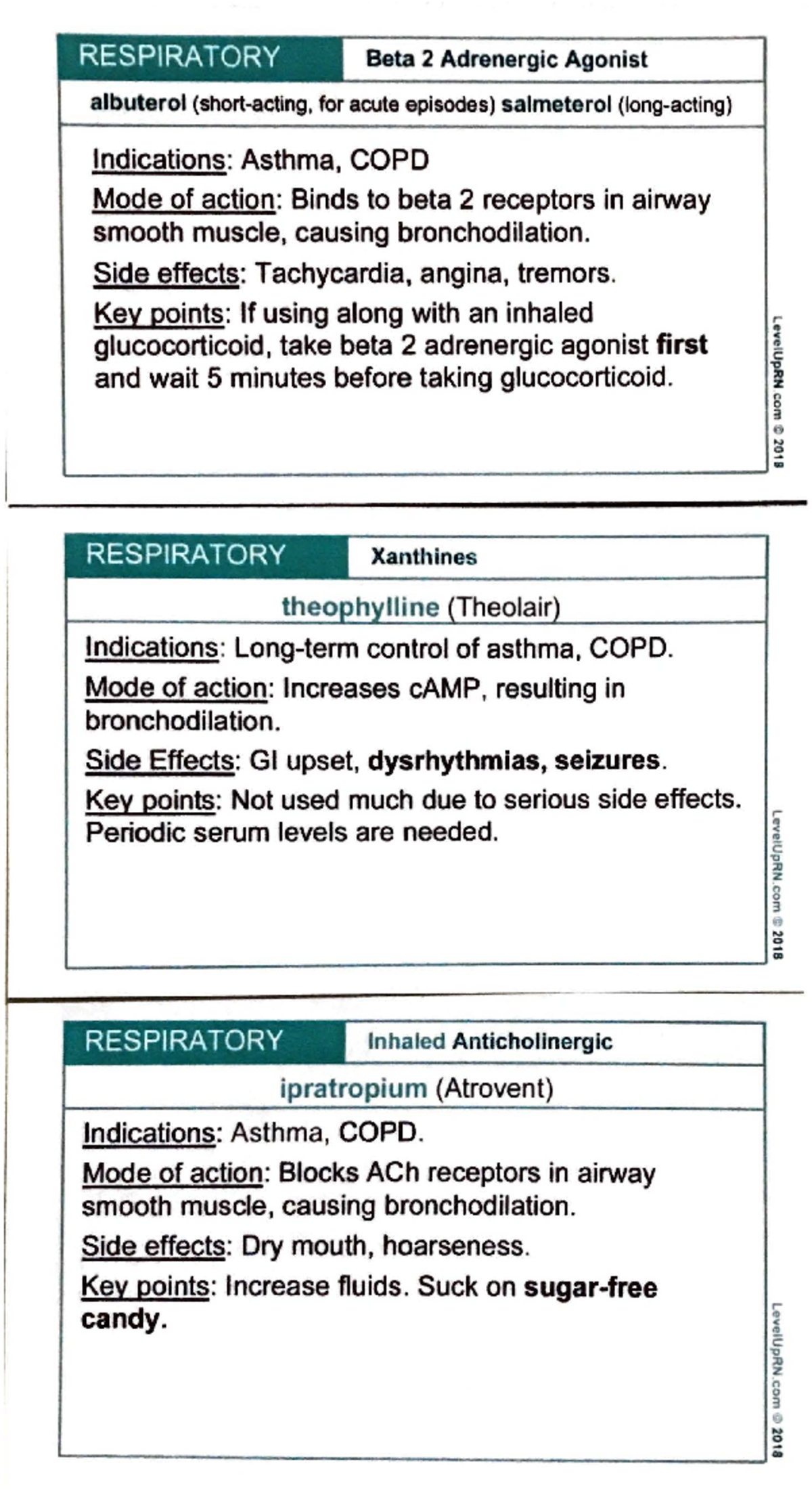 Pharmacology Respiratory System - RESPIRATORY Beta 2 Adrenergic Agonist ...