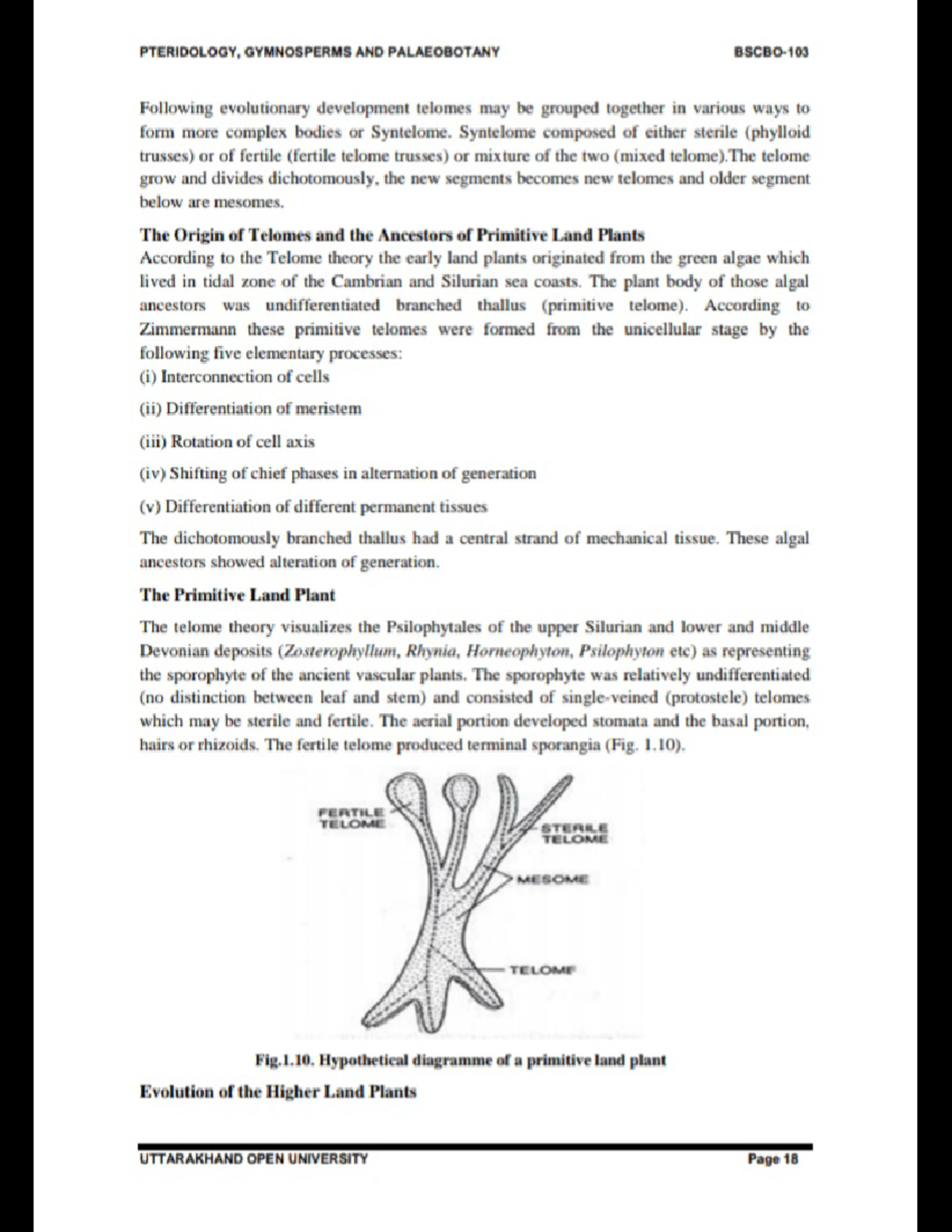 Com.google.android.apps - Bryology, Pteridology, Gymnosperms ...