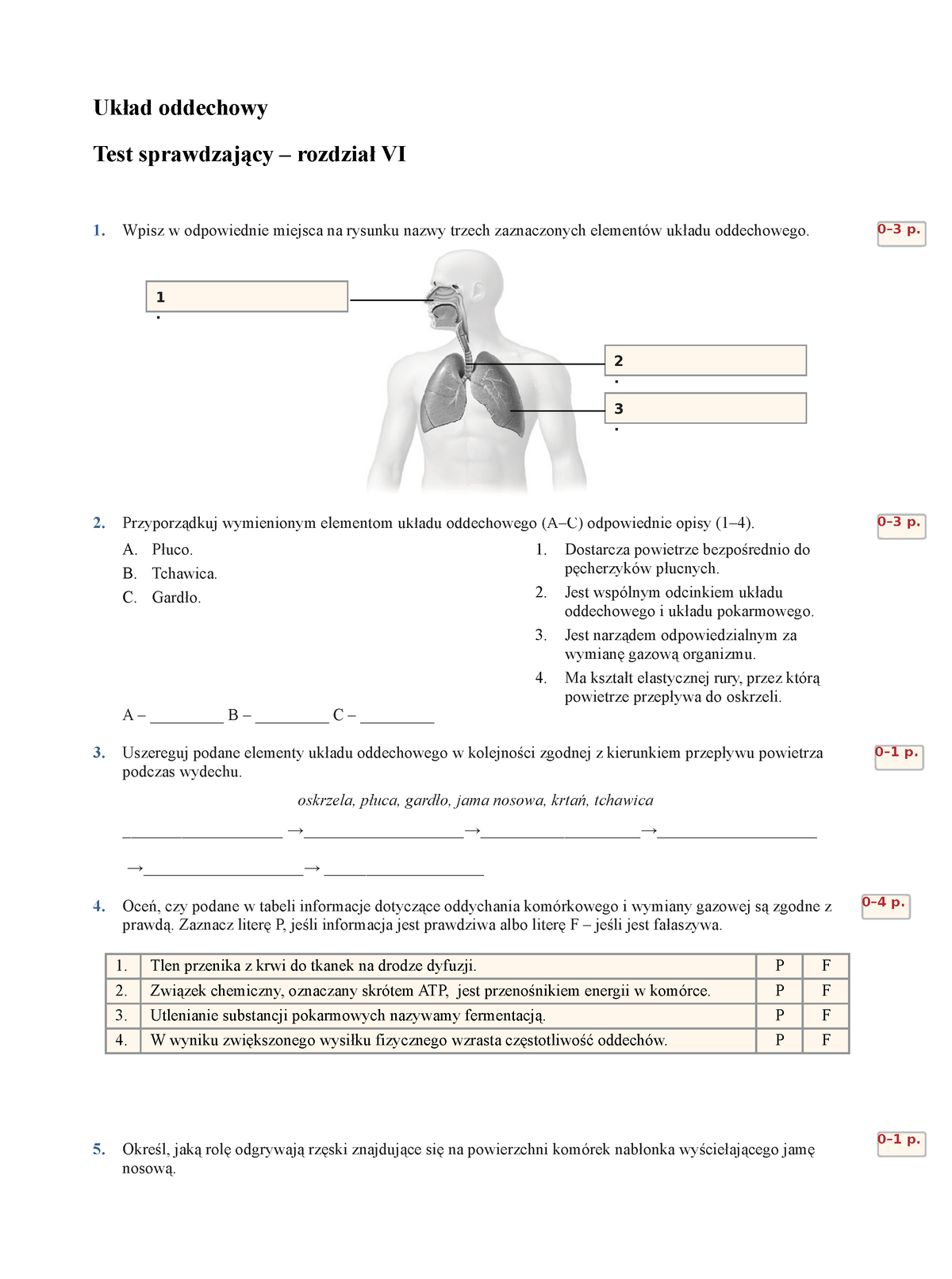 Test-po-dziale-6-uklad-oddechowy - Układ Oddechowy Test Sprawdzający ...