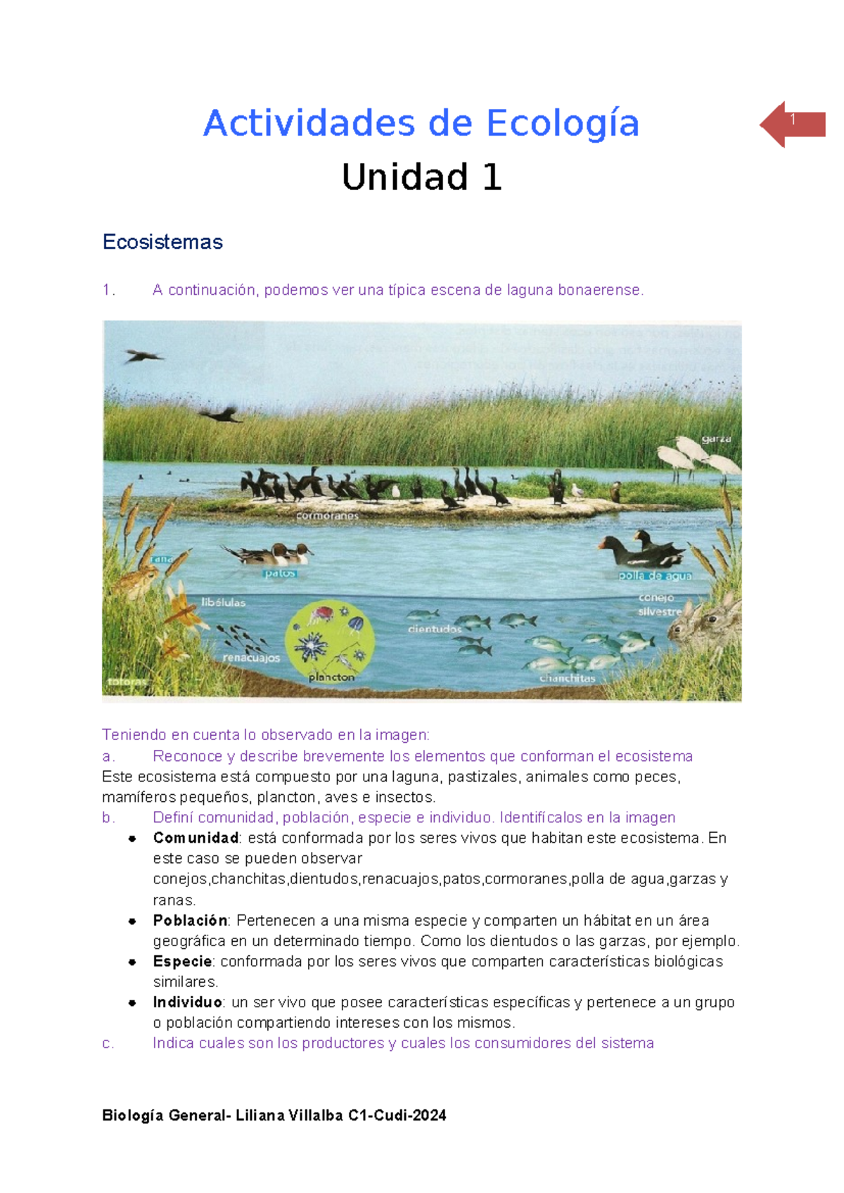 Unidad 1 Ecologia - 1 Actividades de Ecología Unidad 1 Ecosistemas A ...