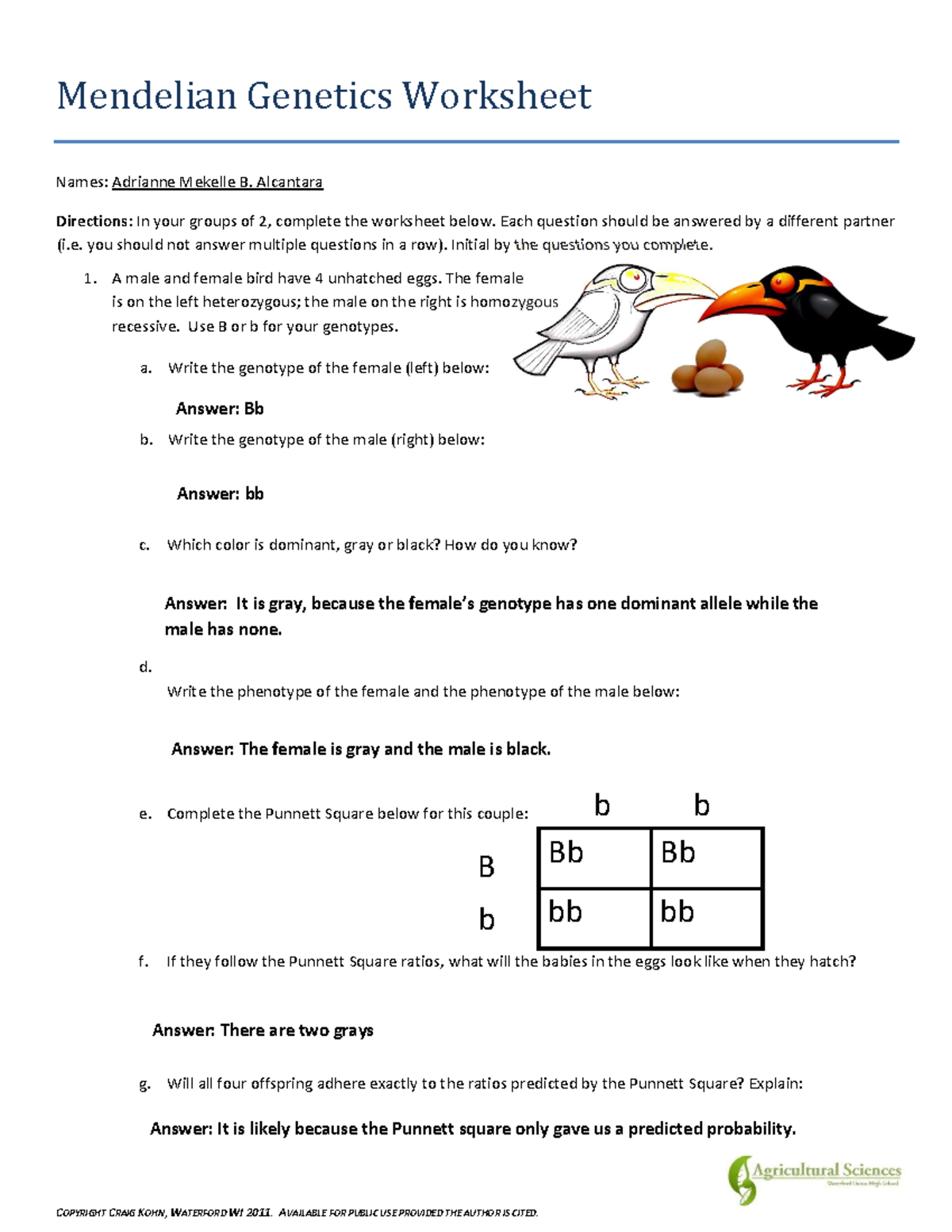 Science Medelian Genetics Activity - Mendelian Genetics Worksheet Names ...