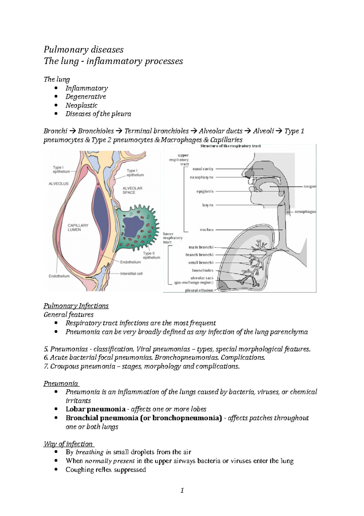 Pulmo 1 - inflammatory diseases - Pulmonary diseases The lung ...