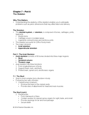 CH.6A, Bones and Skeletal Tissue Lecture Notes - Chapter 6 – Part A ...