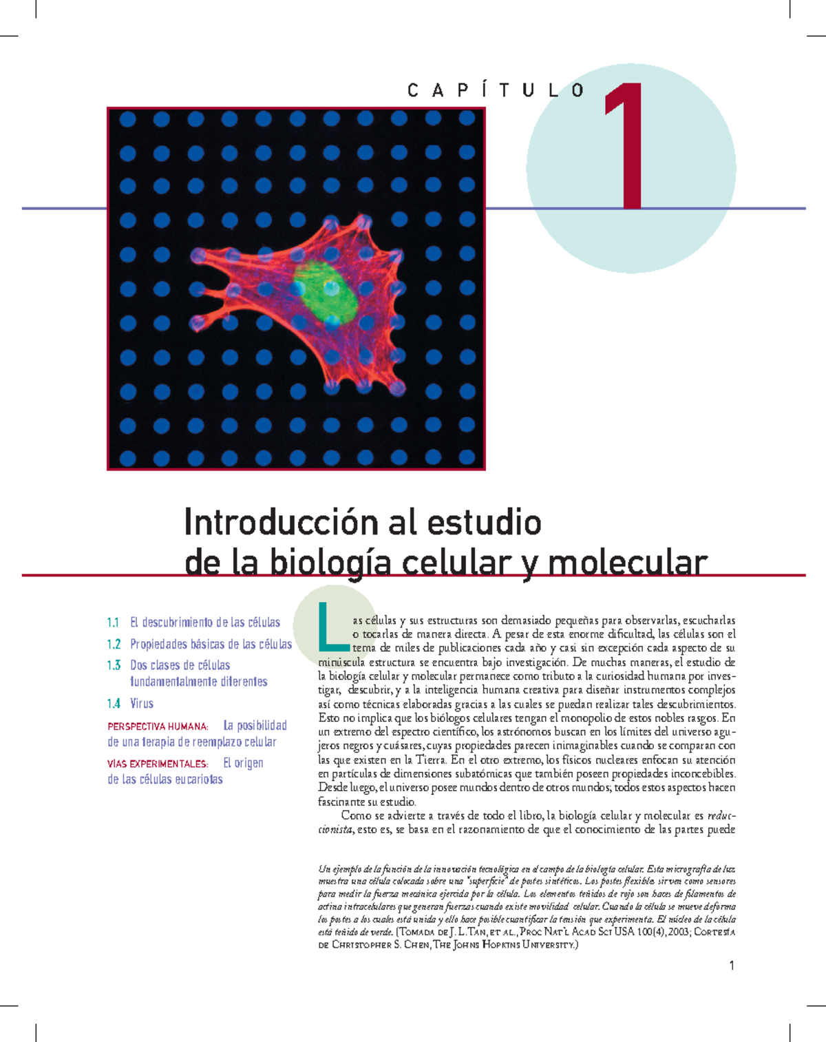 diabetes tipo 2 biología celular introducción diabetes tipo 2 biología celular introducción