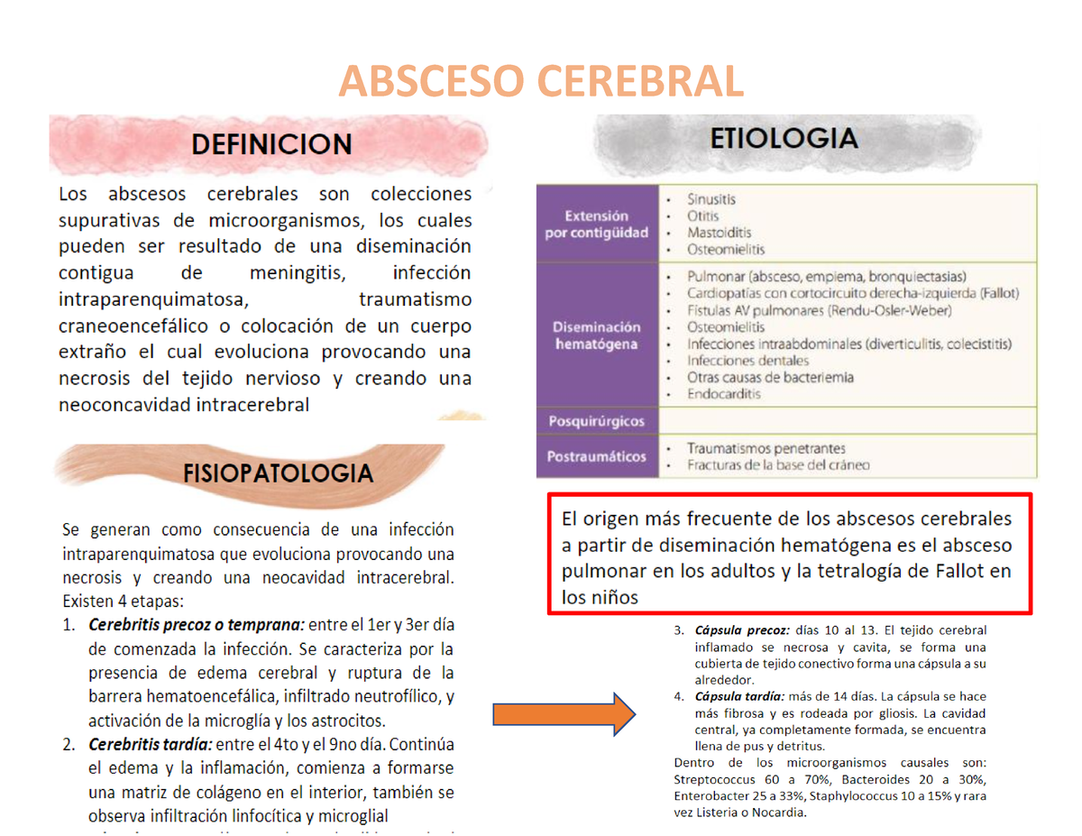 Absceso Cerebral Y Empiema Subdural Anatomia Absceso Cerebral Studocu