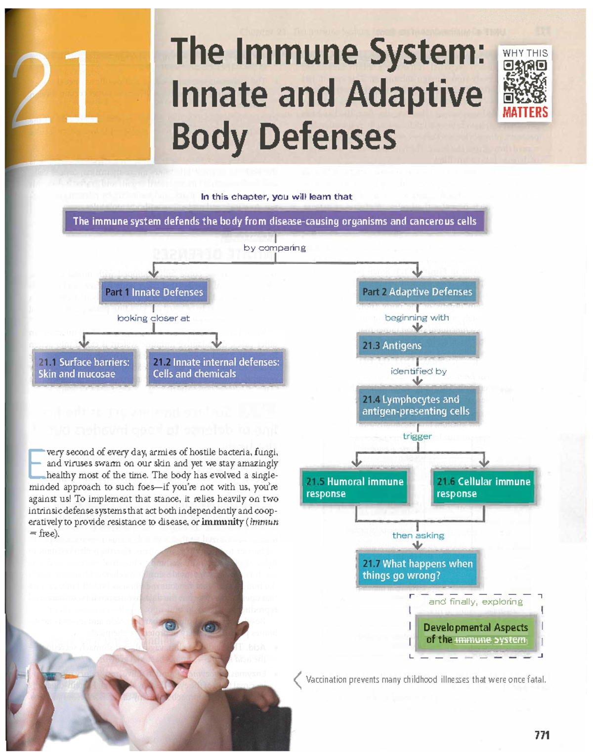 20240609 T150108 hubs191 the immune system innate and adaptive body ...