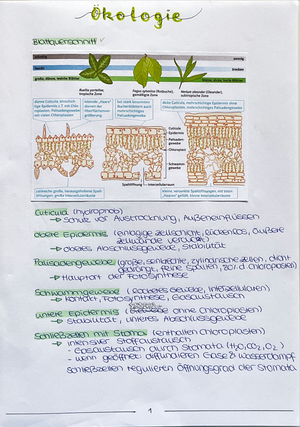 Bio Lk Abitur 2020 Lernzettel Genetik - Biologie - Studocu