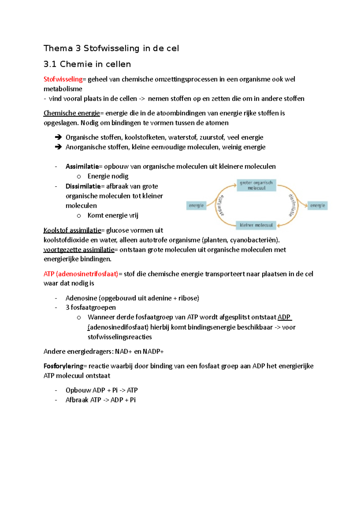 Samenvatting 5vwo H3 Thema 3 Stofwisseling In De Cel 3 Chemie In Cellen Stofwisseling Geheel