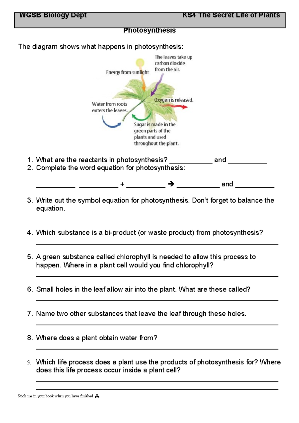 Photosynthesis Worksheet For Sixth Form - Photosynthesis The Diagram ...