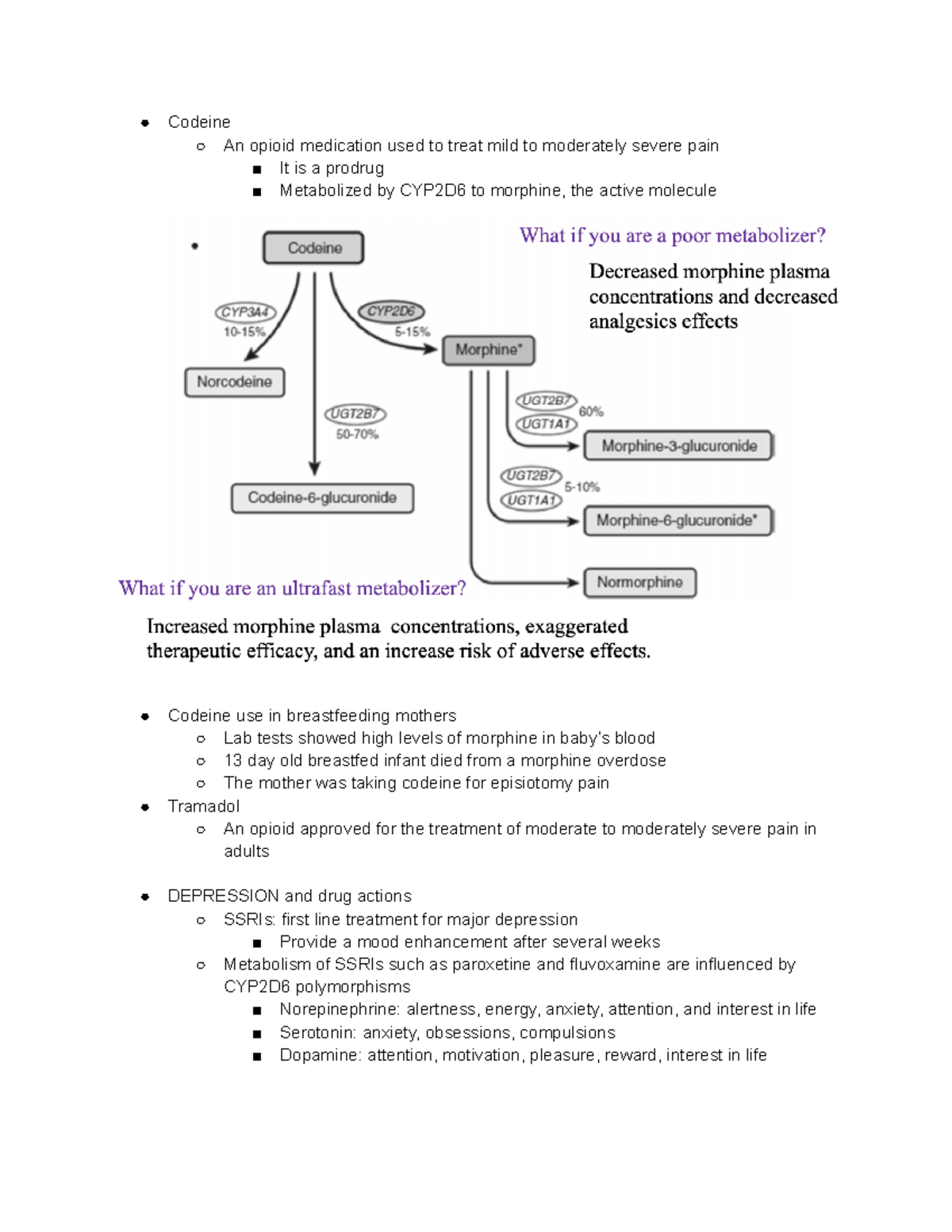 medical-genetics-powerpoint-9-part-9-codeine-an-opioid-medication