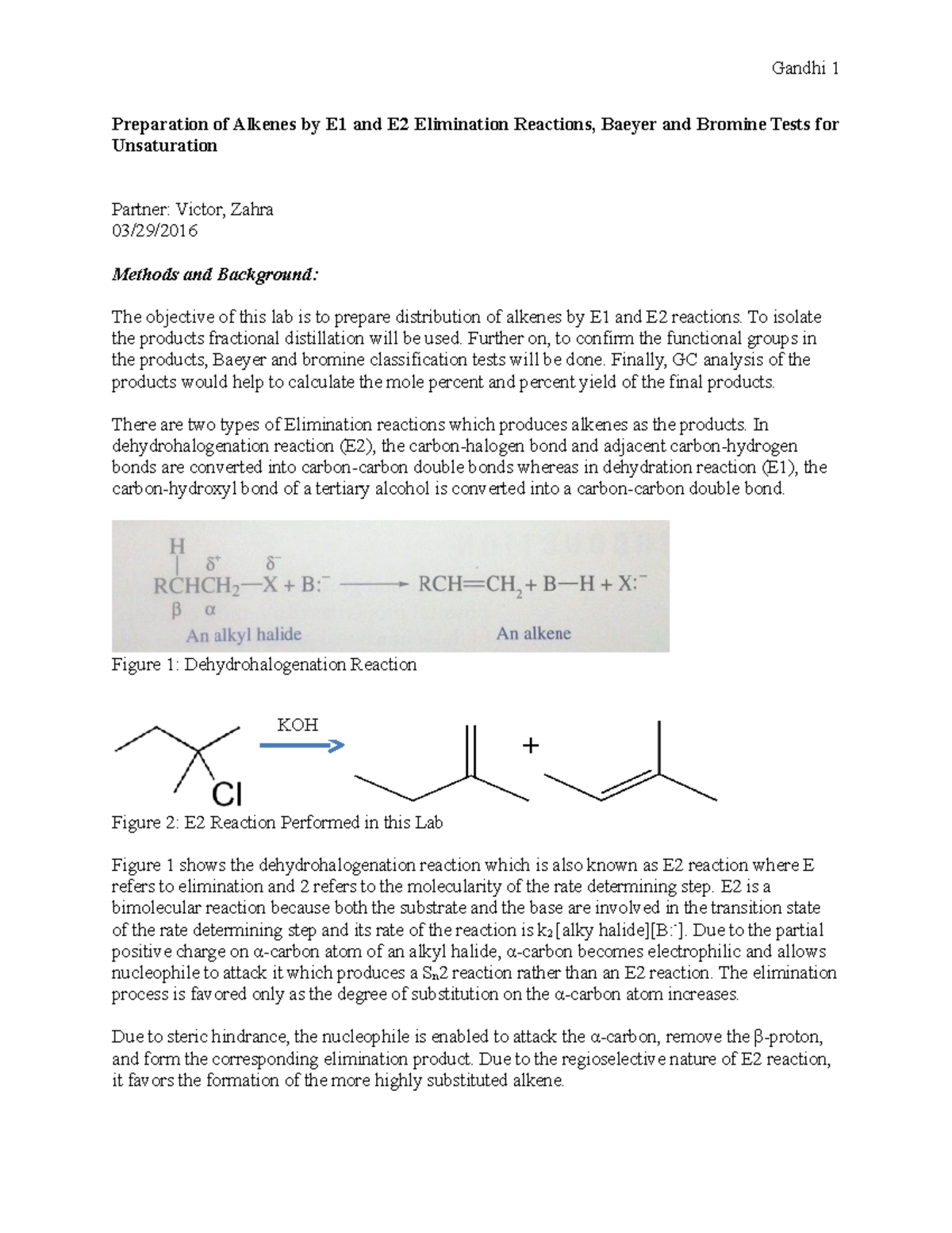 E1 PDF Guide