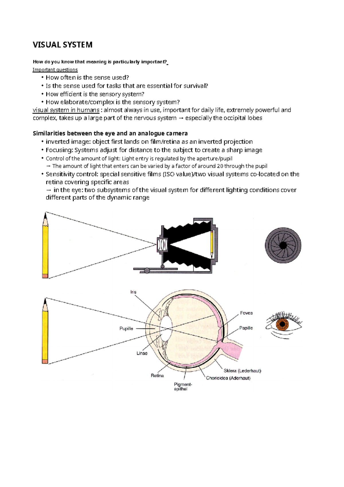 Biological Psychology I - Visual system - VISUAL SYSTEM How do you know ...