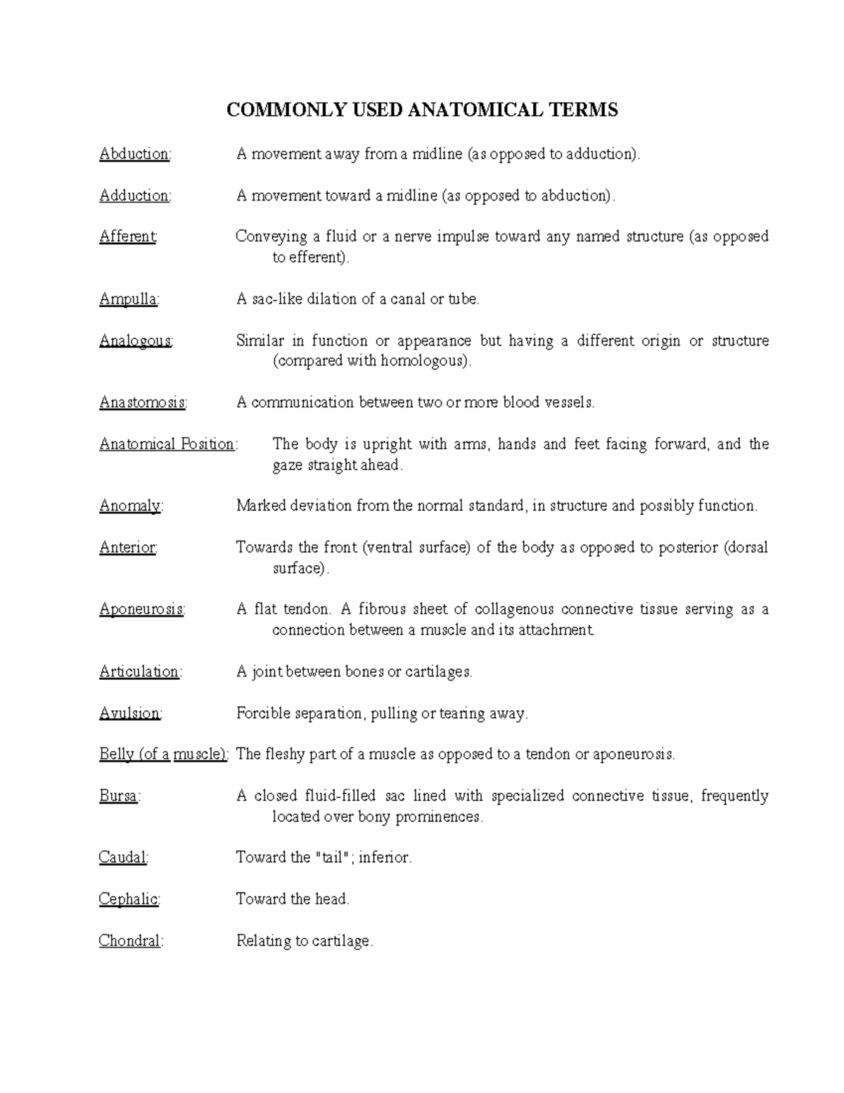 Anatomy Terms Quizletpitpoint Detail - wjtw2v0