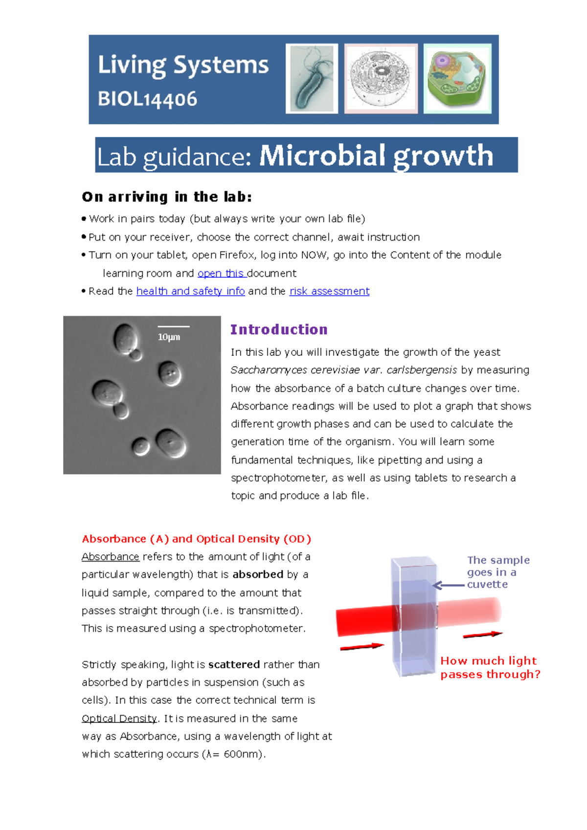 Microbial Growth 2223 On Arriving In The Lab Work In Pairs Today   Thumb 1200 1698 