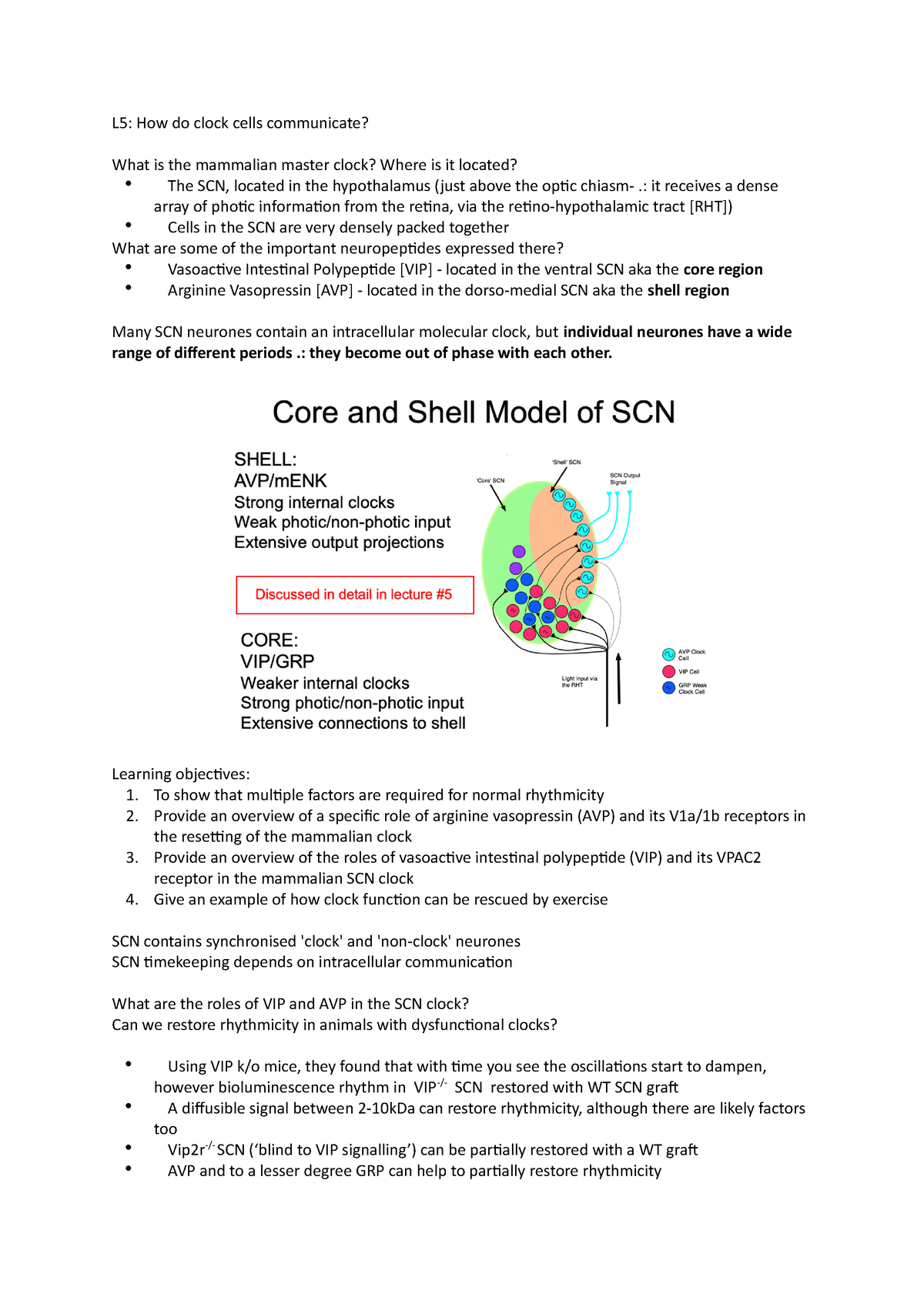 L5 how do clock cells communicate L5 How do clock cells communicate