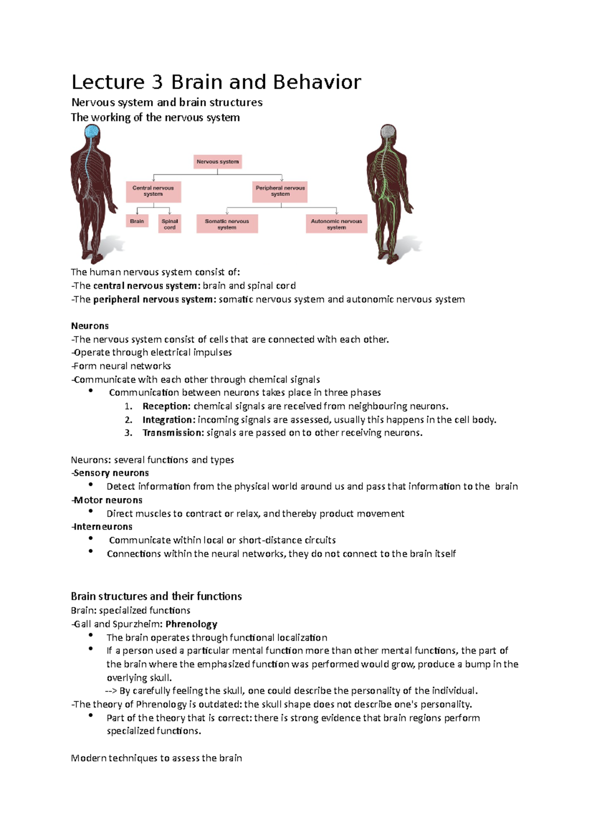 Lecture 3 Brain And Behavior - Lecture 3 Brain And Behavior Nervous ...