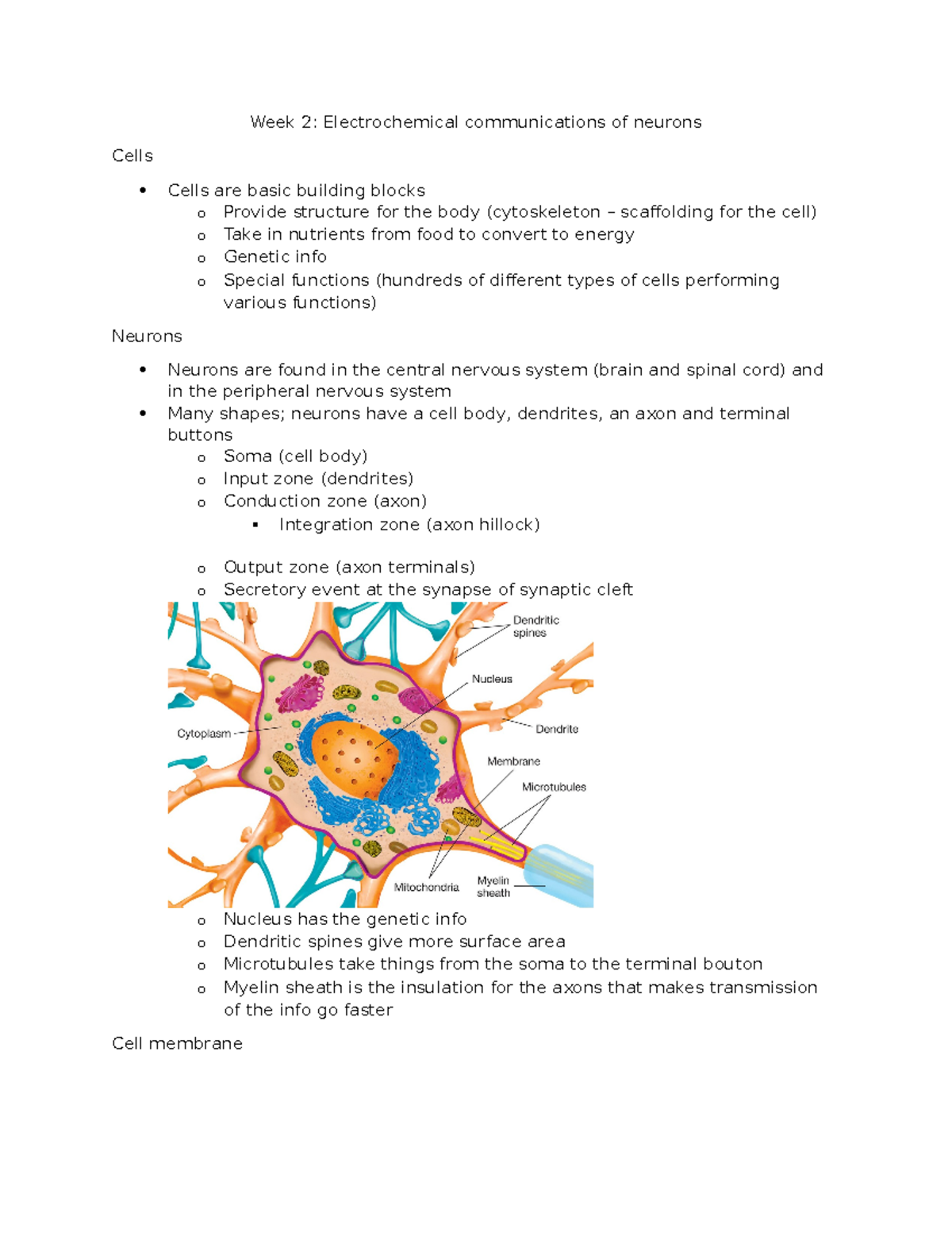 Lecture 2 Electrochemical communications of neurons Week 2