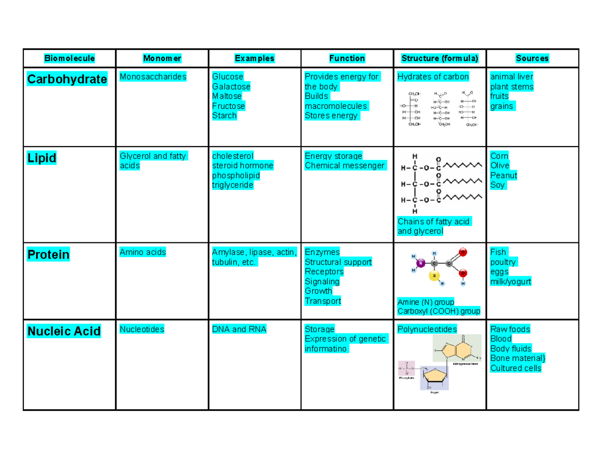 Biomolecule Chart Biomolecule Monomer Examples Function Structure