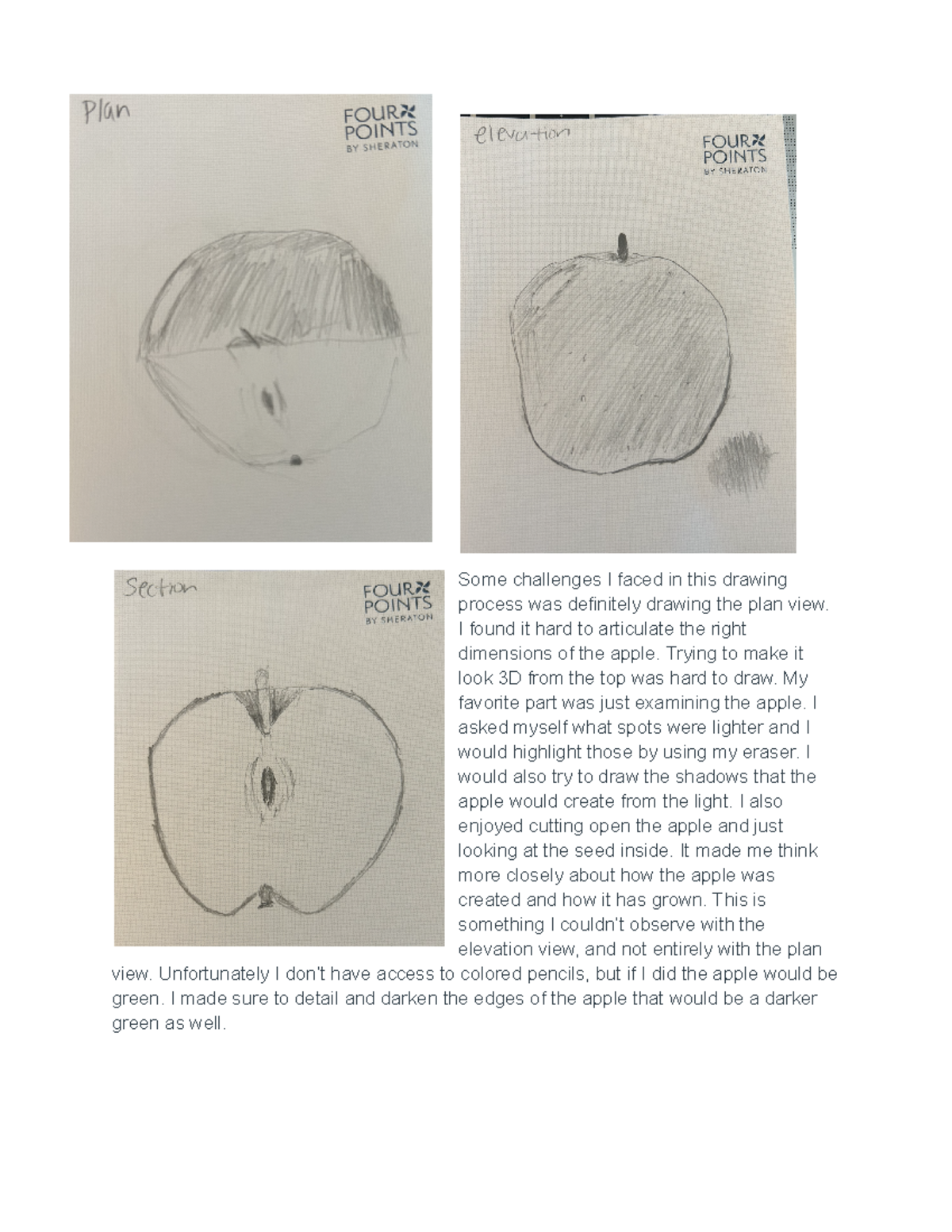 Apple arch - Some challenges I faced in this drawing process was ...