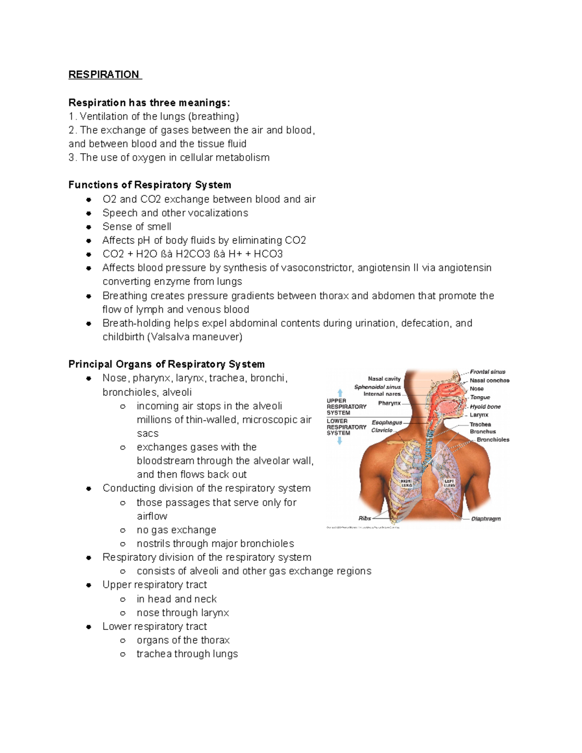 Respiration - RESPIRATION Respiration has three meanings: Ventilation ...